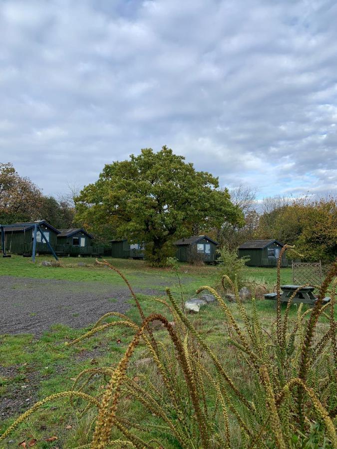 Nexø Camping&Cabins Eksteriør billede